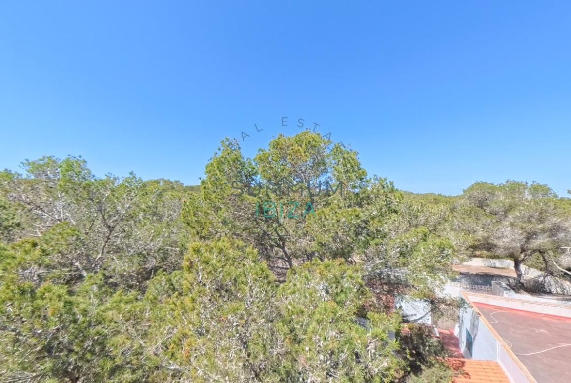 Formentera: Estudio acogedor con terraza en Es Pujols