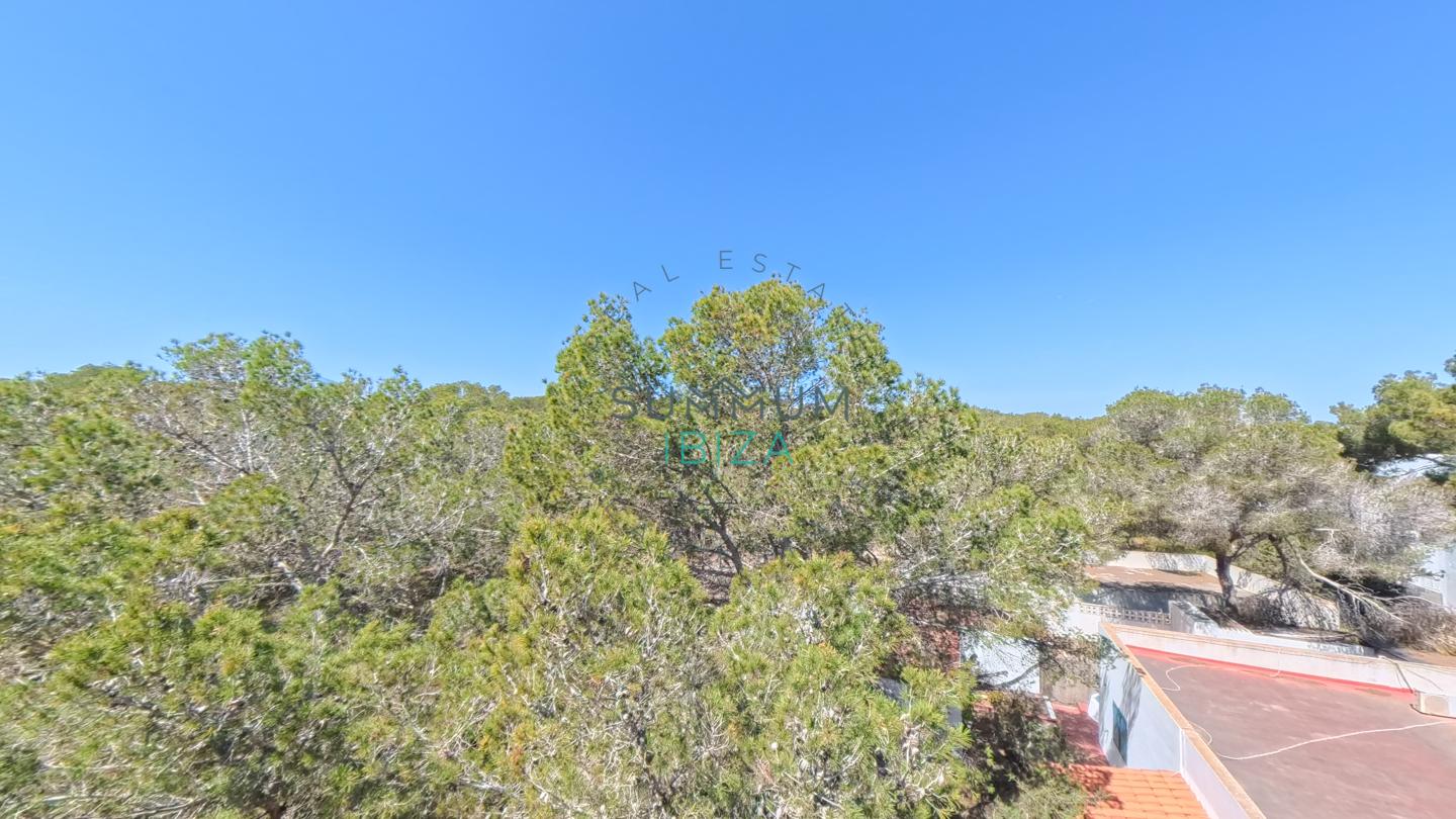4262829-5d6c5753 Formentera: Estudio acogedor con terraza en Es Pujols