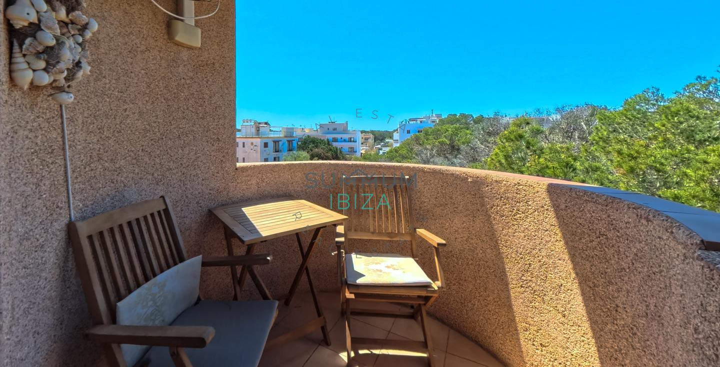 4262829-8620fa0b Formentera: Estudio acogedor con terraza en Es Pujols