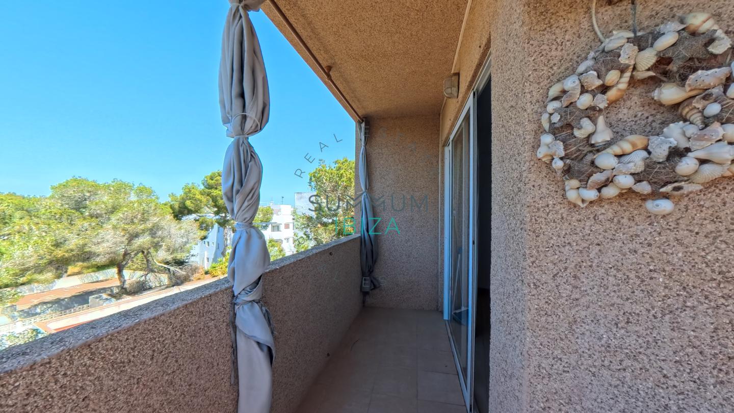 4262829-ec6398d7 Formentera: Estudio acogedor con terraza en Es Pujols